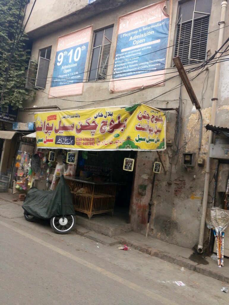 Egg and poultry meat Baloch chicken sale point, Lahore, photo