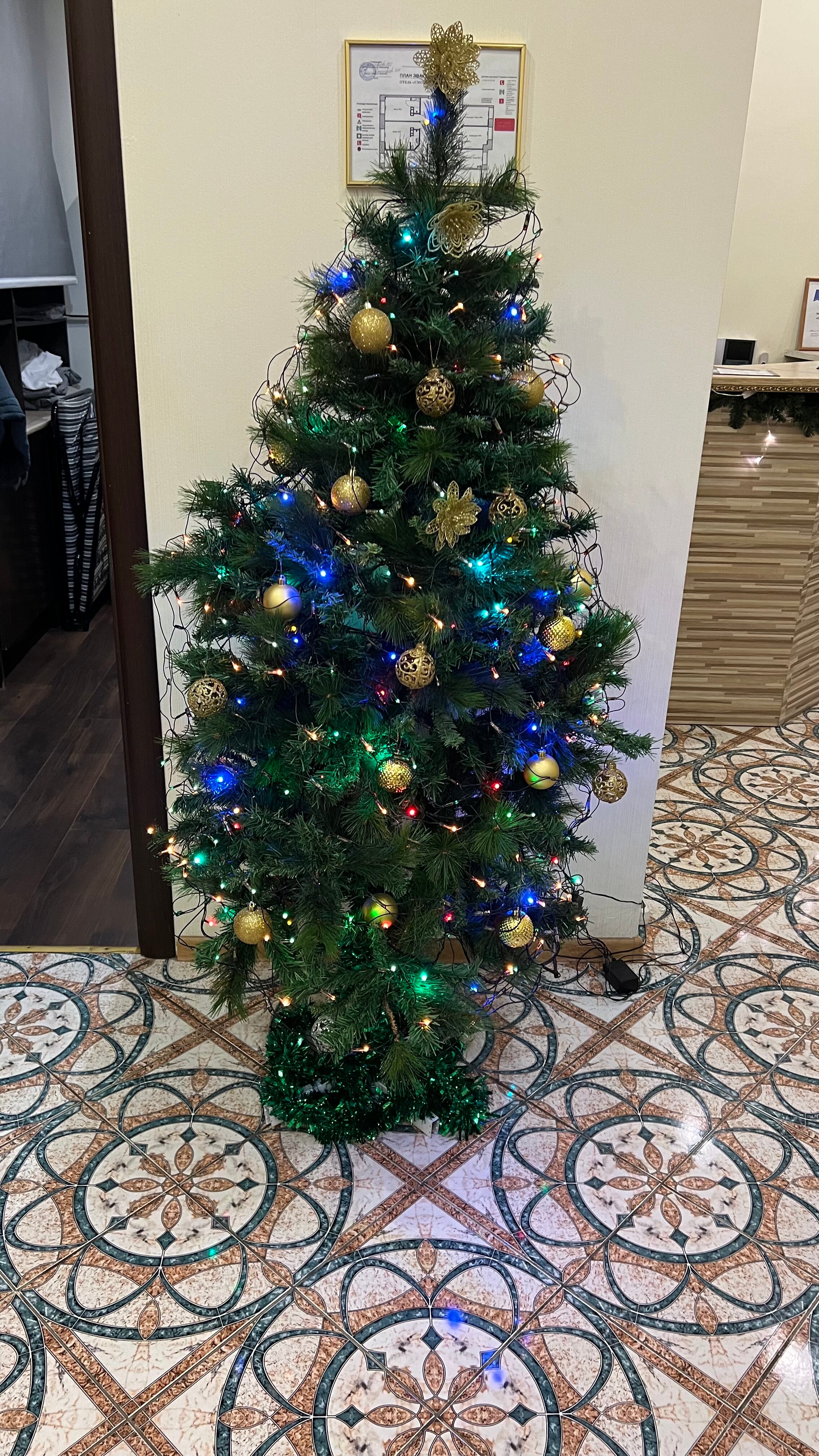 Фото Смоленка