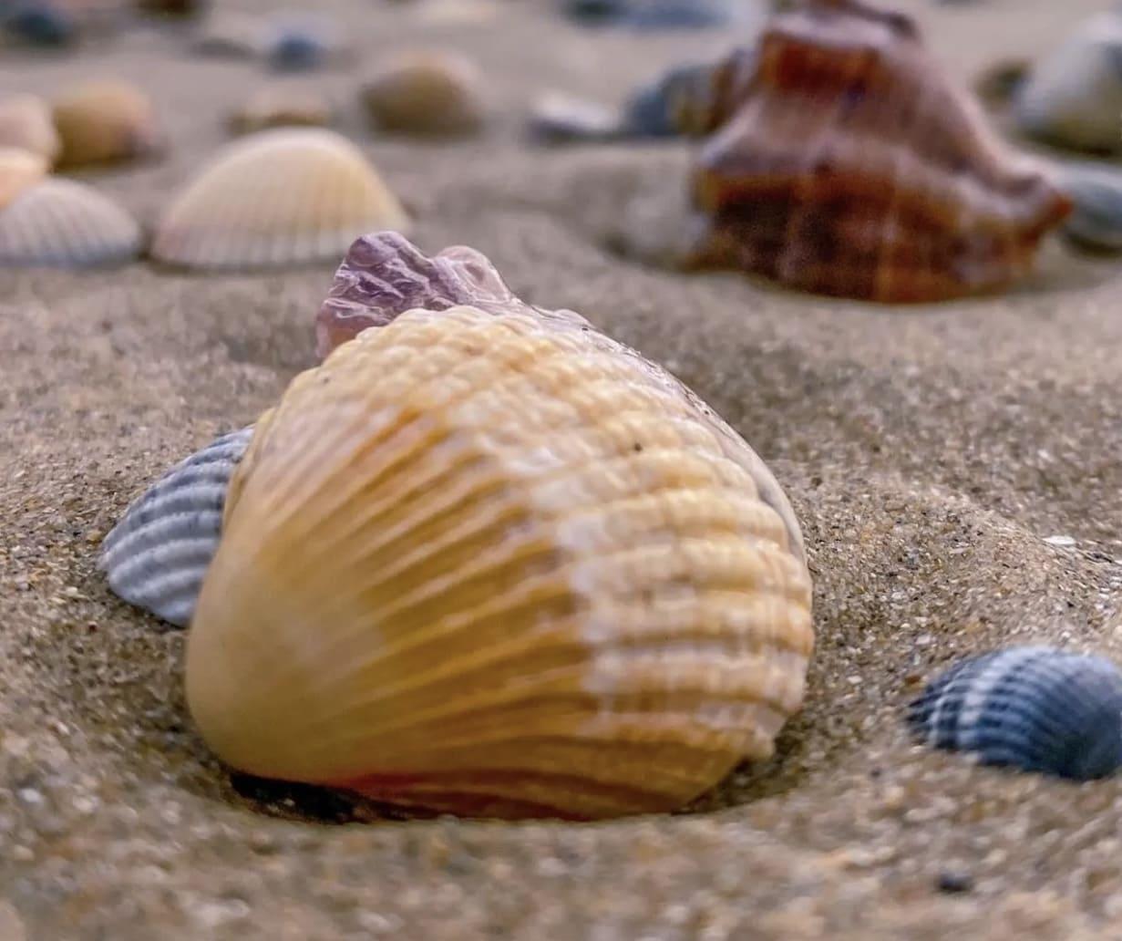 Фото Гостевой дом Тургенева 188