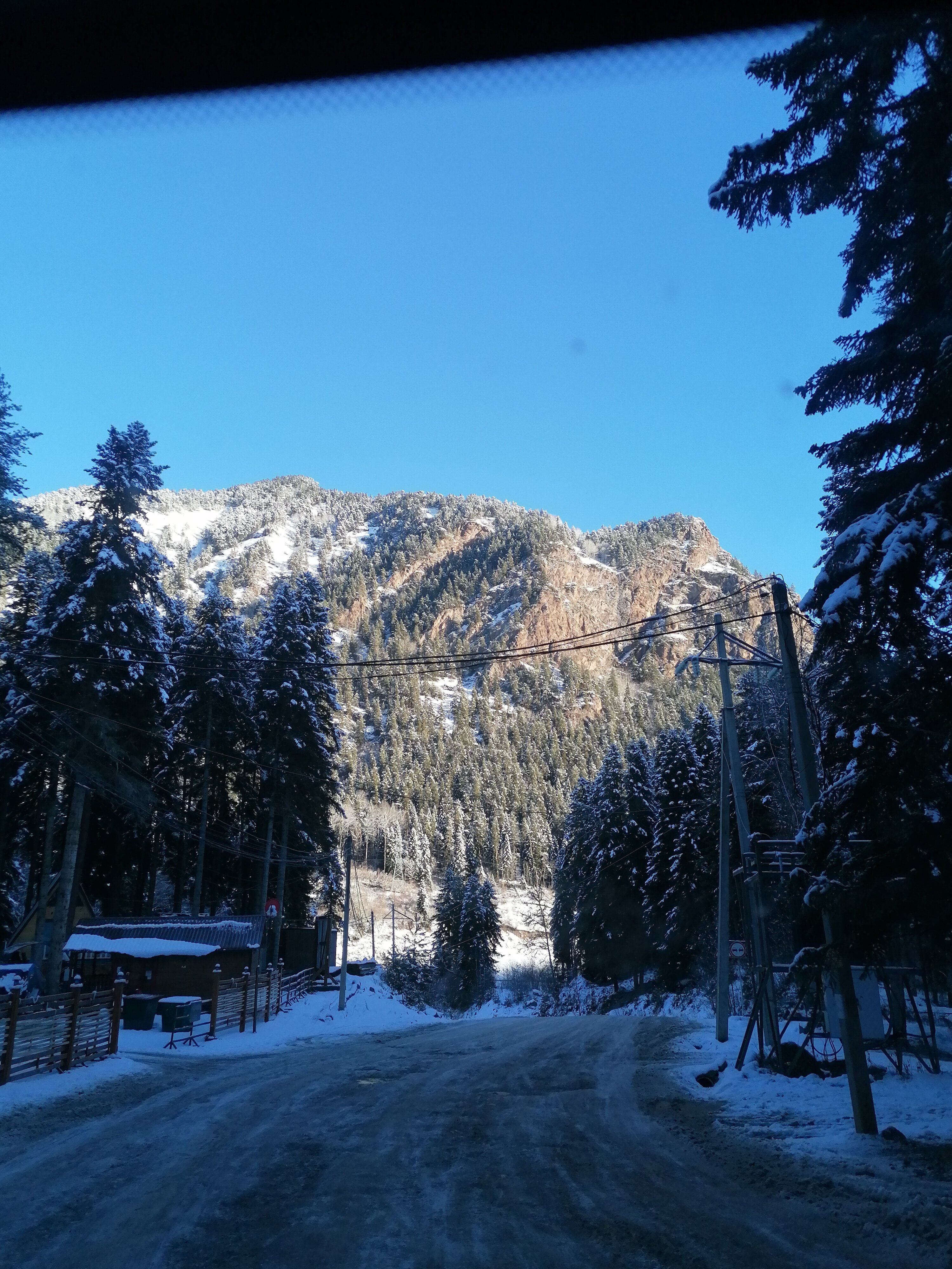 Фото Лесная Заимка