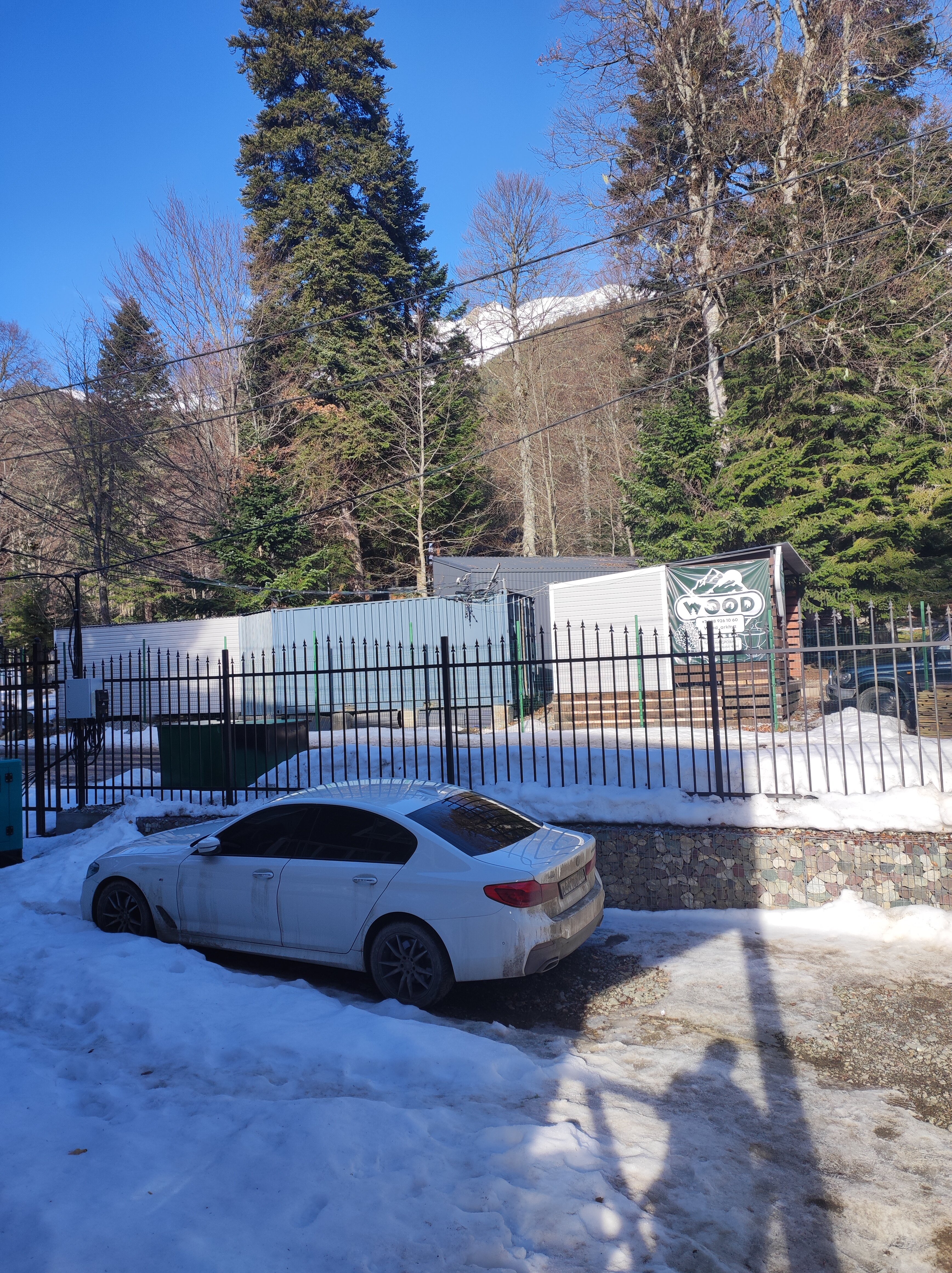 Фото Брусника