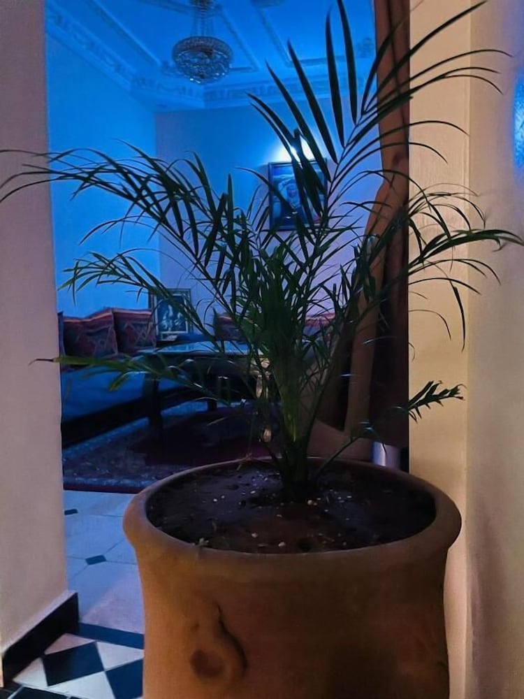 Фото Riad Terrasse Ms Holiday Medina