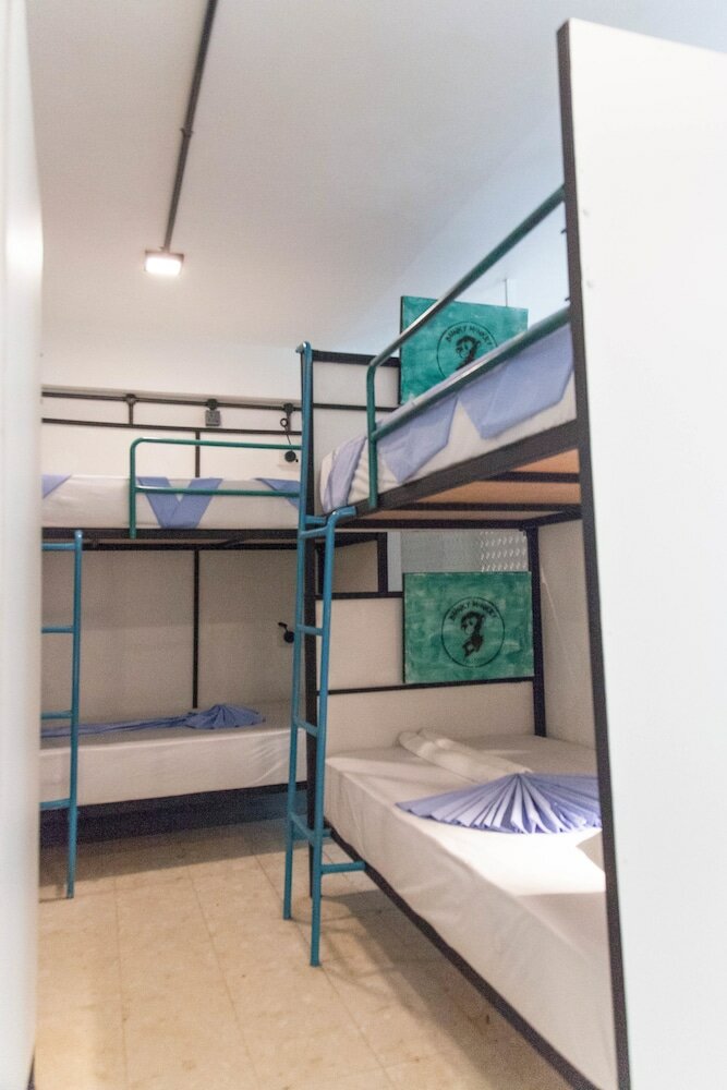 Фото Bunky Monkey - Hostel