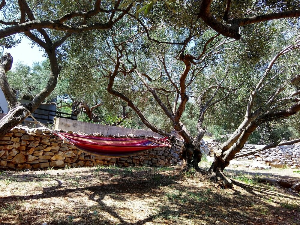 Фото Apartments Nedeljko