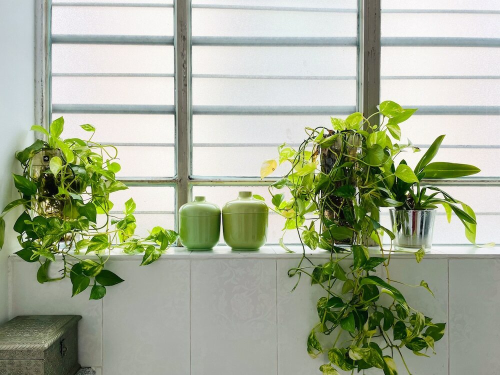 Фото My Place Suite Milano Navigli