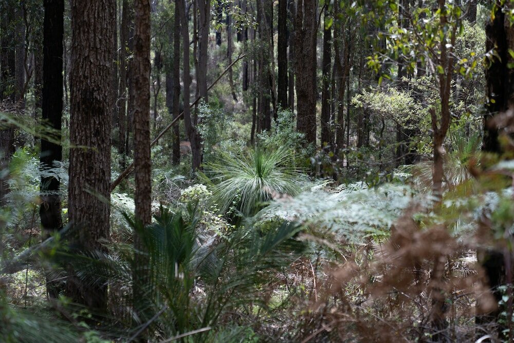 Фото Noble River Estate