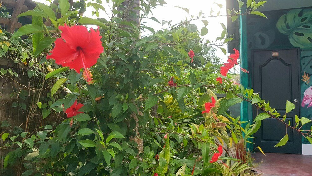 Фото Ingpha Room for rent