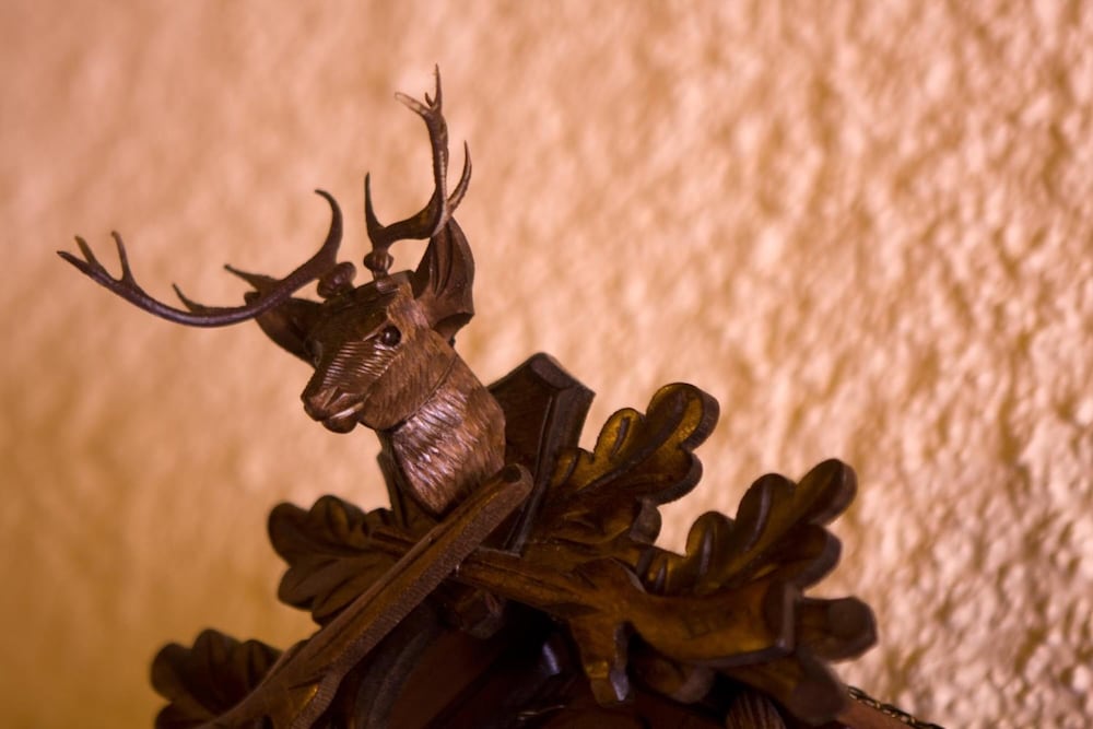 Фото Hostal El Bouquet