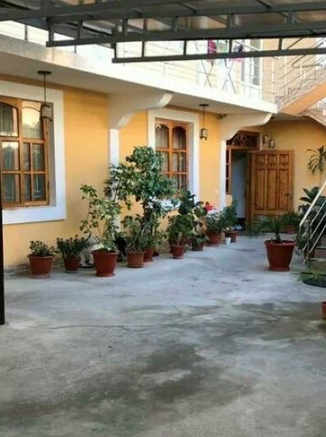 Фото Кенгуру