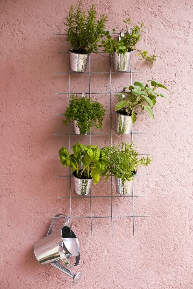 Фото Apartments Silver Tree