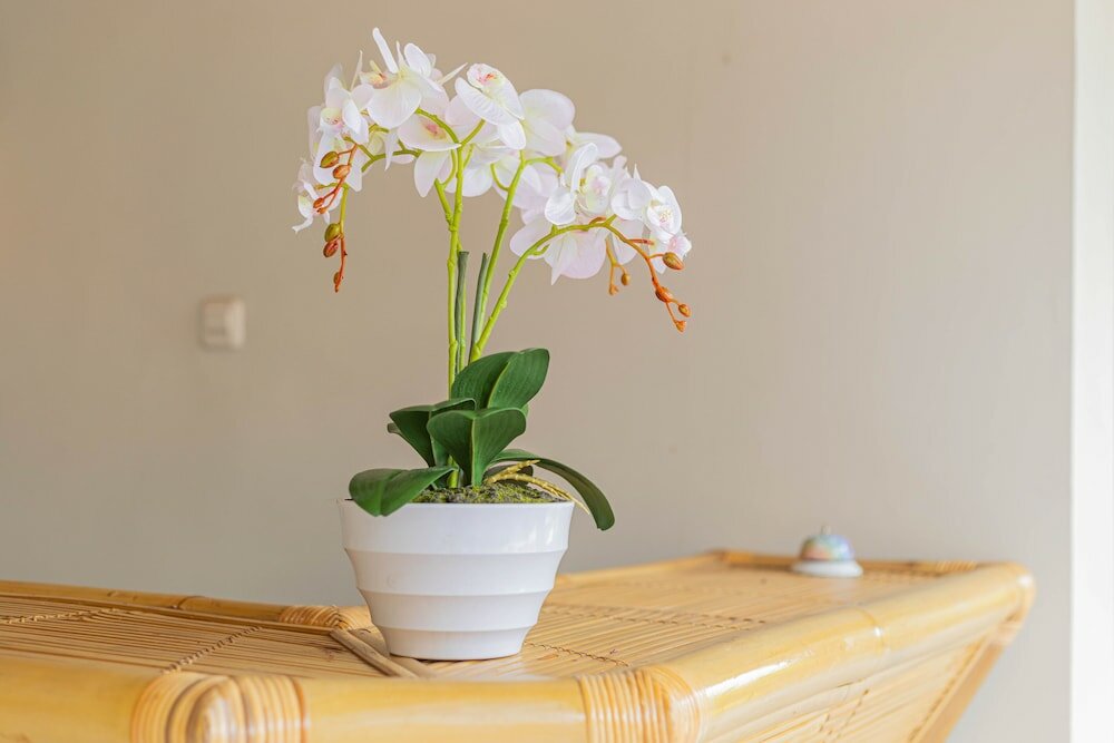 Фото Candra Loka Studio & Apartment by The Loka