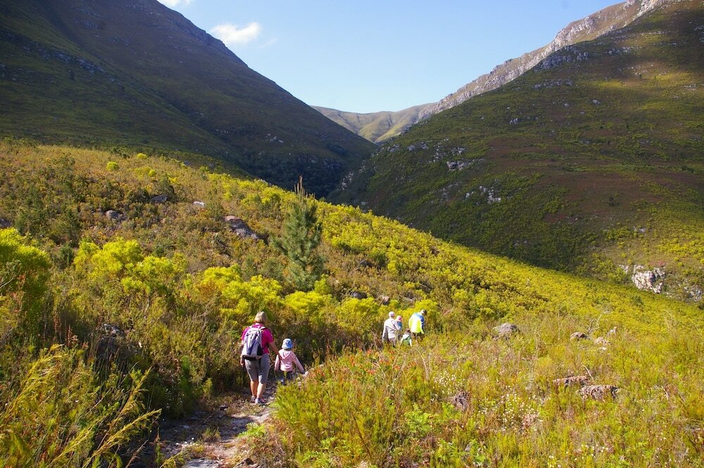 Фото Oudebosch Guest Farm