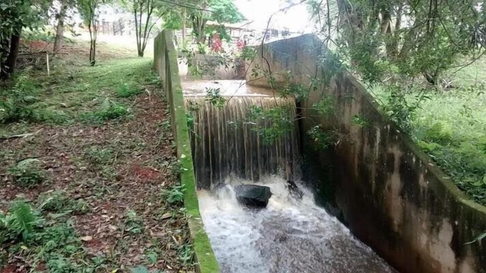 Фото Hirondelle Paraíso