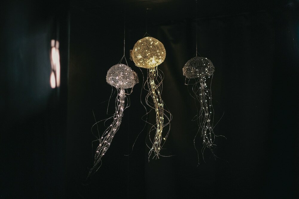 Фото Thalazur Antibes