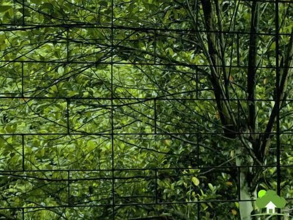 Фото Milano Grand New Rest House