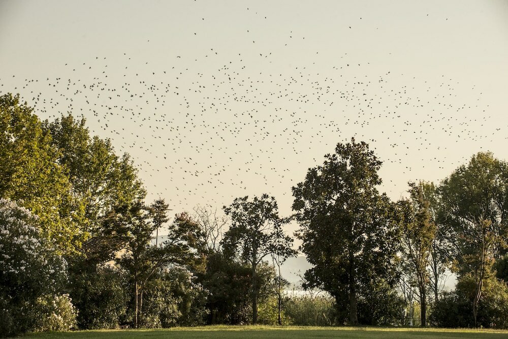 Фото Isola Polvese Resort