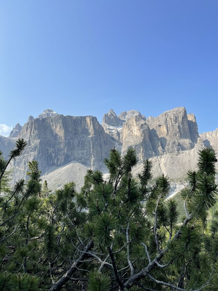 Фото Residence Bondi