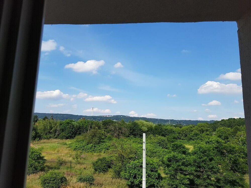 Фото Dresdner-Tag Rosenherz