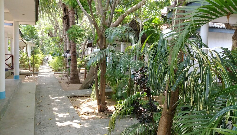 Фото Hangloose Arugambay