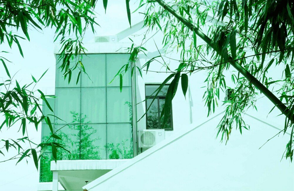 Фото Csdy Guesthouse