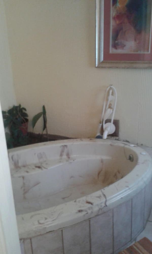 Фото Rosenhof Country Lodge