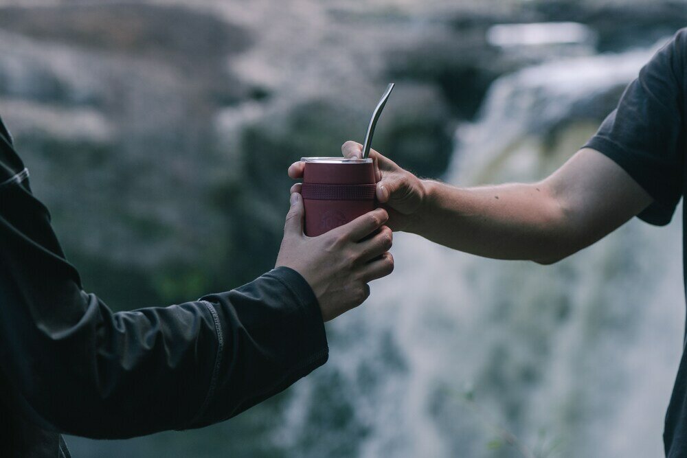 Фото Hotel Parque Tepuhueico