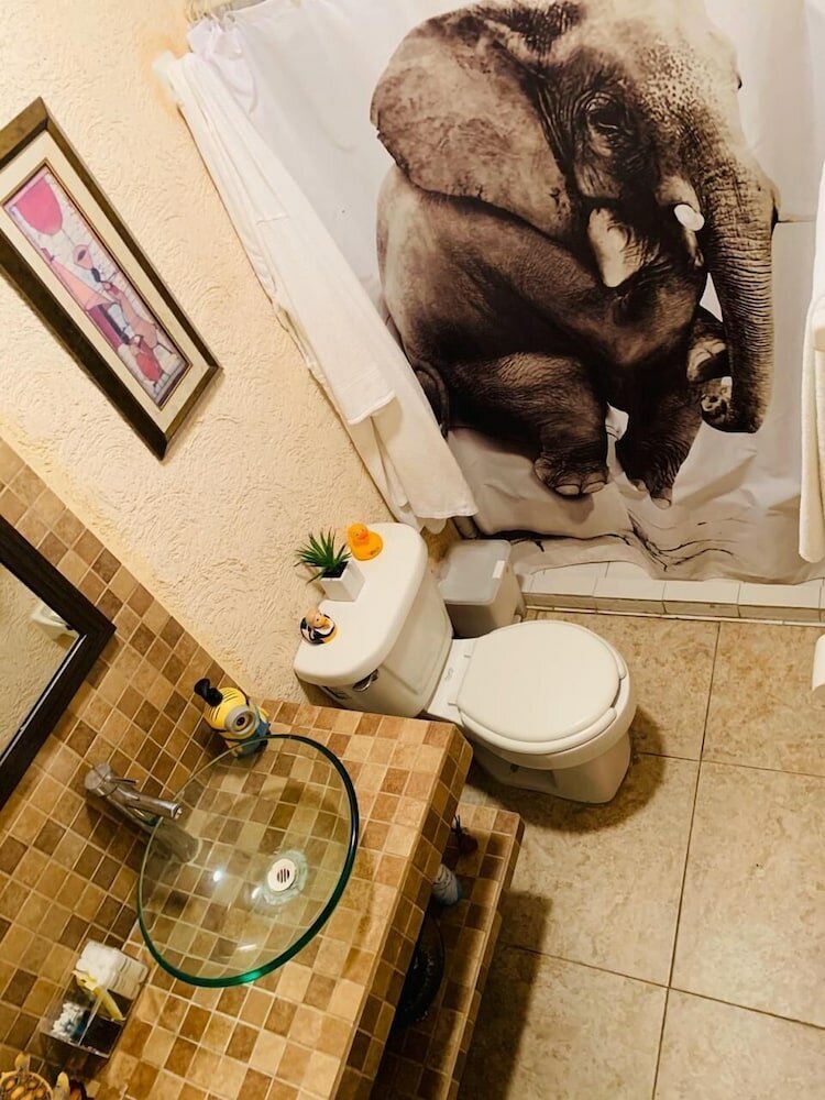 Фото Franks House