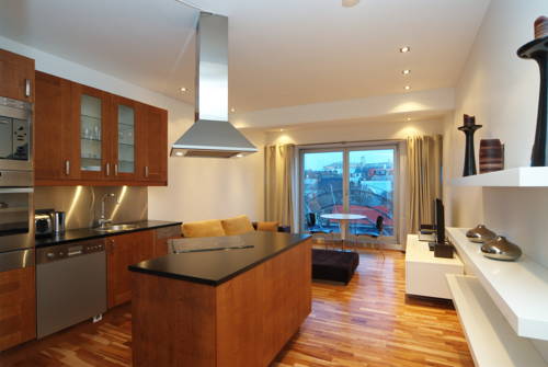 Фото Laugavegur Penthouse Apartment