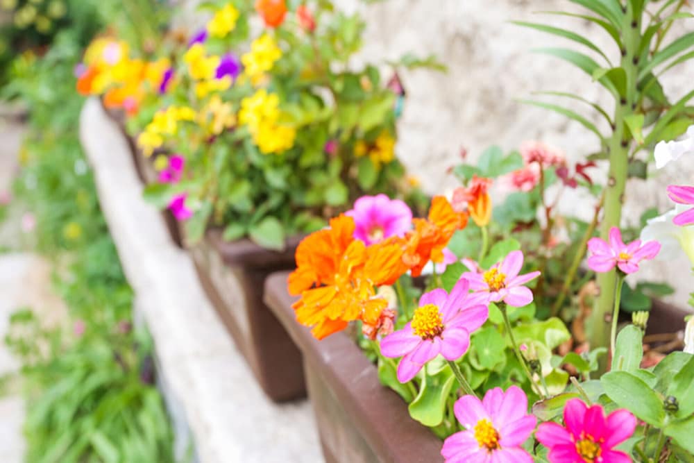 Фото Samcheongdong Korea Guest House