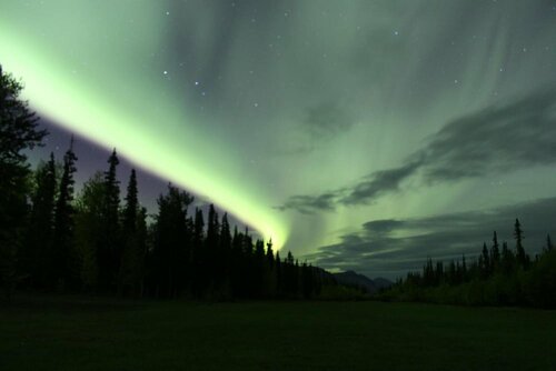 Гостиница Discovery Yukon Lodgings
