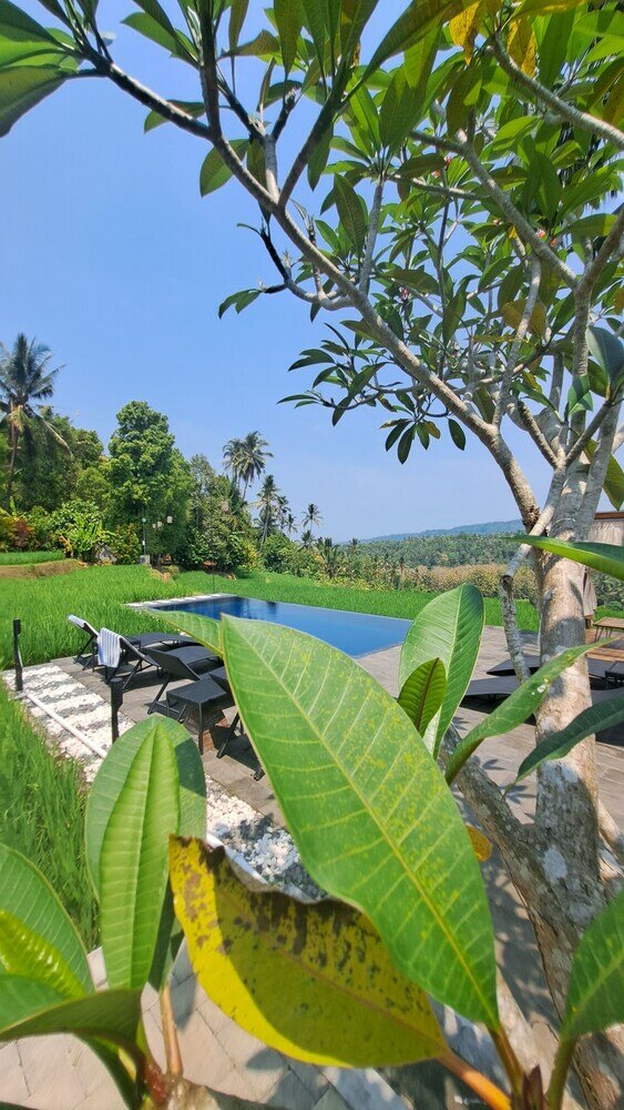 Фото Bali De Pardis Cottage