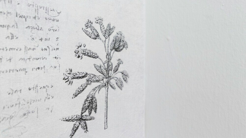 Фото Italianway - Melzo 24