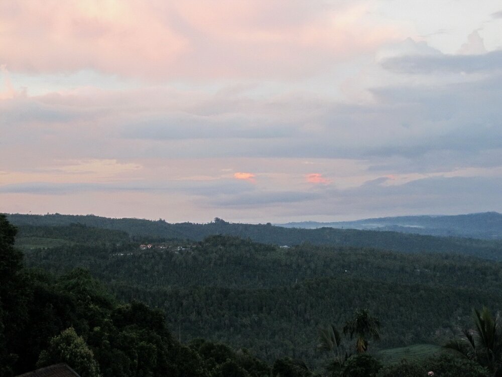 Фото Karang Sari Guesthouse & Restaurant