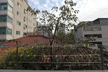 Фото Hongdae Guesthouse Pajamaparty - Hostel