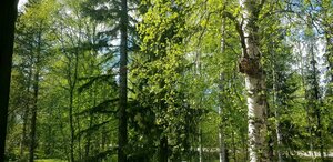 Гостиница Kuukkeli Ivalo Arctic House