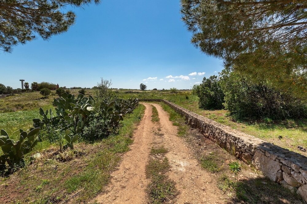 Фото 3421 Sikalindee - Casette Pp by Barbarhouse