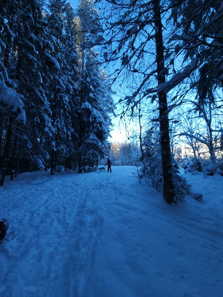 Ski lodge Malinovaya Gora, Saint‑Petersburg and Leningrad Oblast, photo