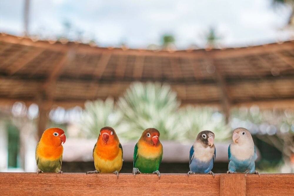 Фото Thavorn Palm Beach Resort Phuket