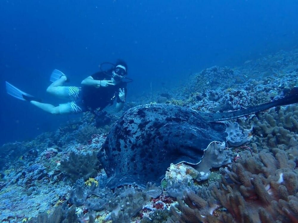 Фото ViluVeli Holiday Retreat