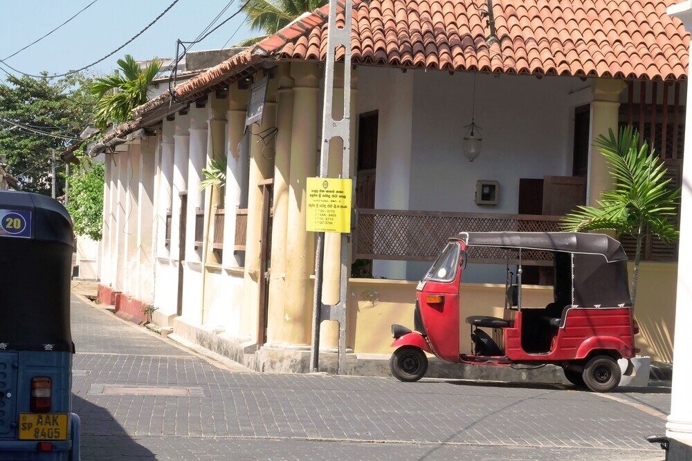 Фото Orchard House