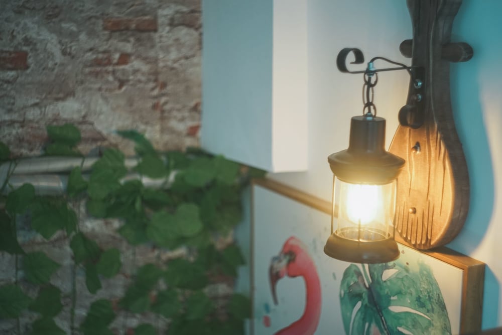 Фото Shanghai Rainbow No. 35