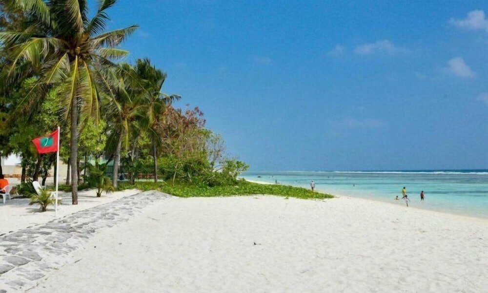 Фото Dreams Grand