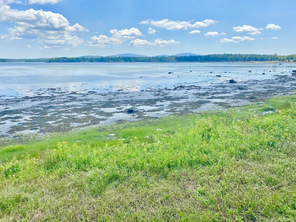 Фото Island View Hotel Bar Harbor