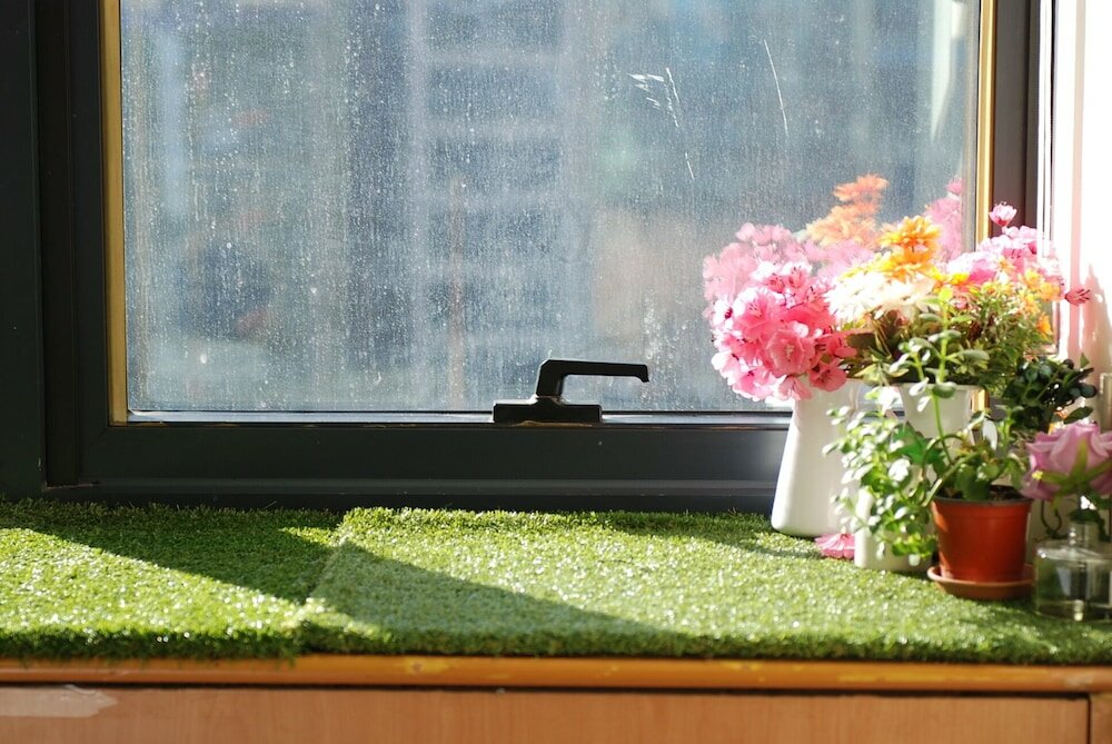 Фото Kpop Coex Gangnam Stay