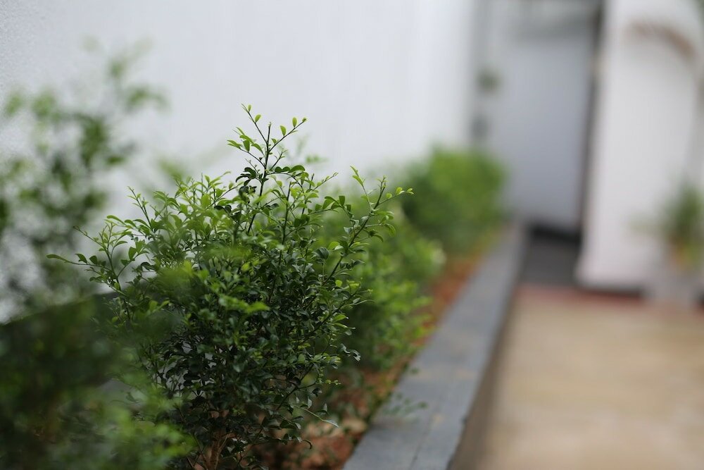 Фото Dream Villa Tadini