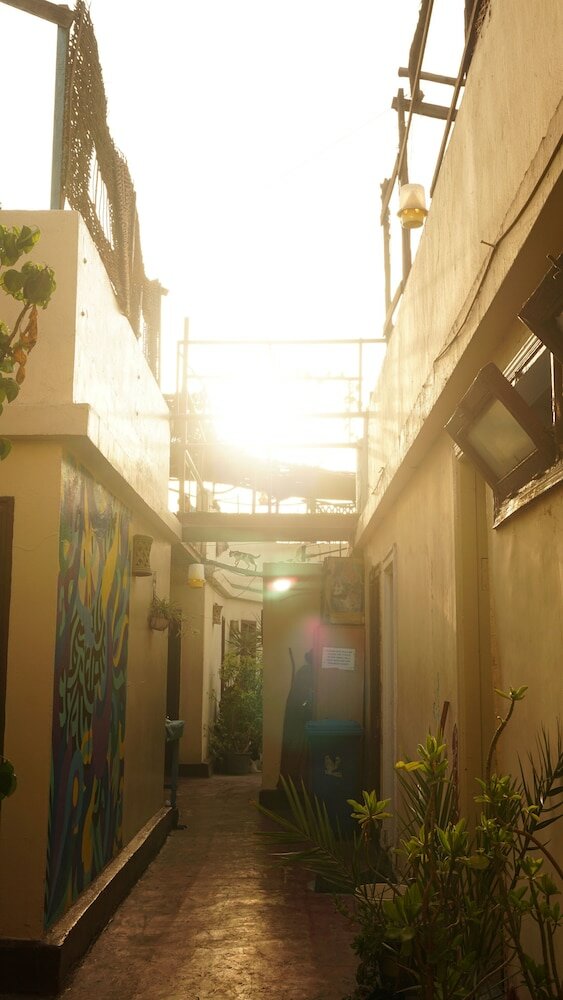 Фото Dahab Hostel