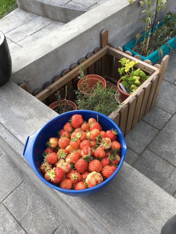 Фото Sólheimar Studio Apartment