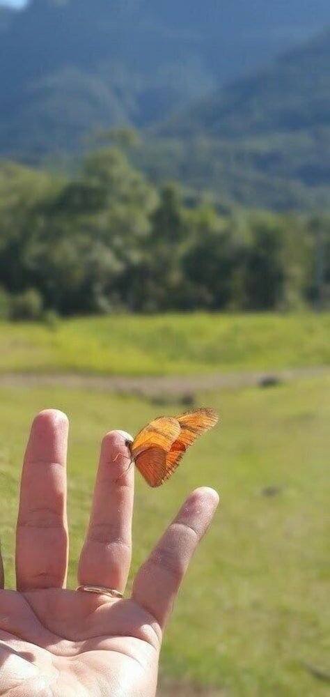 Фото Tiny House Garden - Praia Grande - Sc