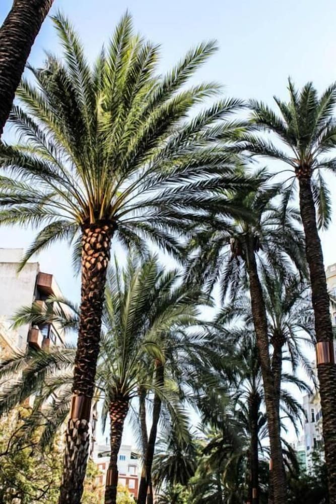 Фото Apartamentos Goya