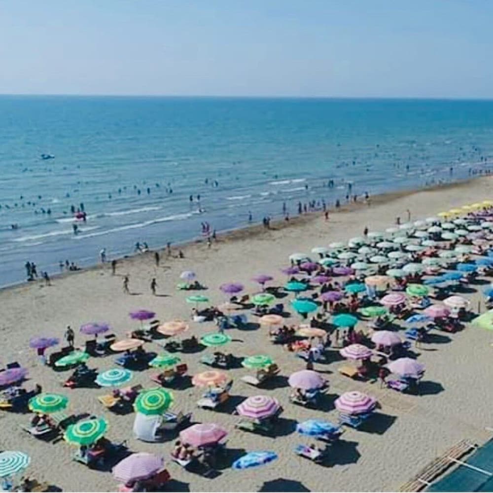 Фото Pasho's House